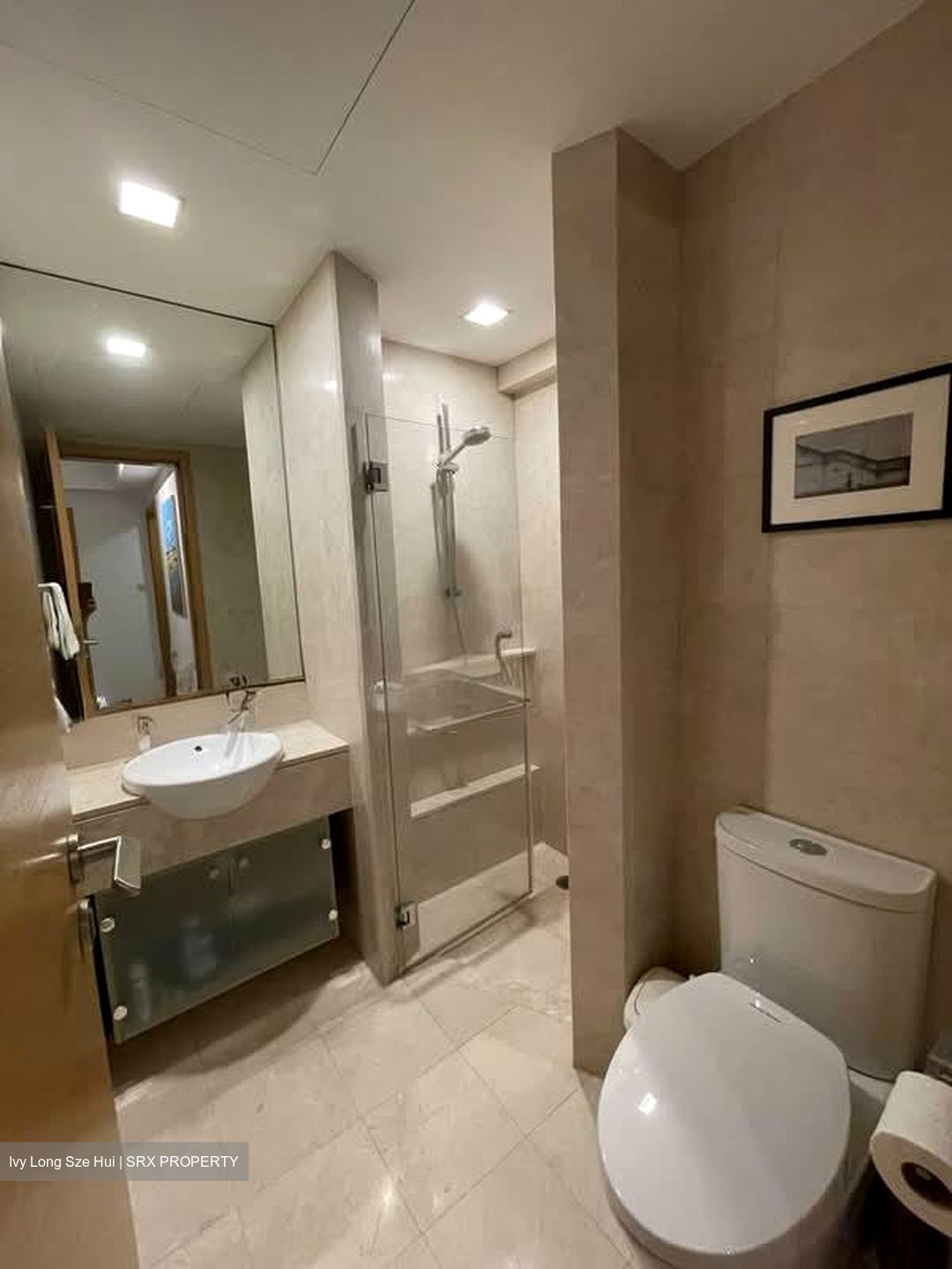 The Belvedere (D15), Condominium #569843711